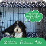 Molly Mutt Romeo & Juliet Dog Crate Cover, 100% Cotton Canvas Cover with 2 Roll-Up Panels, Ideal for Dog or Cat Crate, Durable, Washable, and Free of Harmful Chemicals, 36" x 24" x 27"