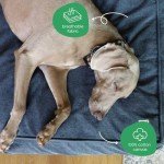 Molly Mutt Dragonstone Dog Bed Duvet Cover, GOTS-Certified 100% Cotton Canvas Cover for Dog, Puppy, or Cat Bed, Durable, Washable, and Free of Harmful Chemicals, Small, 22"x27"x5", Blue