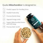 Qualia Mitochondria+ formerly Qualia Life | The Most Advanced Supplement For NAD+, Cellular Energy, Metabolism & Repair for Better Aging w/35+ NAD Boosters Resveratrol & More | 160 Ct | 1 Month Supply