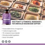 QUALIA MAGNESIUM+ | Doctor-Formulated Premium Magnesium Formula | High Bioavailability From 9 Forms Of Magnesium & 70+ Minerals | Relax Mood, Calm Nervous System, Muscle Relaxation & Exercise Recovery