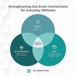 Qualia Synbiotic 28 Science-Backed Spore Probiotics, Prebiotics, Postbiotics, Fermented Foods for Gut Health & Digestion Support, Promotes Akkermansia Vegan TROPICAL FLAVOR, (1 Month Supply)