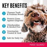 MAXI/GUARD Dental Spray for Pets (4oz)