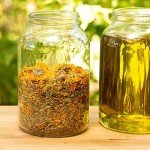 Ora's Amazing Herbal Calendula Salve, Calendula Cream, Drawing Salve, Calendula Ointment, Coconut Free Salve made with Organic Calendula and Licorice Root, 4 oz