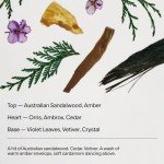 SALT & STONE Gel Deodorant for Women & Men | Santal & Vetiver | No Aluminum Free & No Baking Soda | Free From Parabens, Sulfates & Phthalates (2.6 oz)