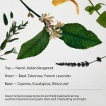 Salt & Stone Natural Deodorant for Women & Men - Neroli & Basil | Extra Strength Natural Deodorant | Aluminum Free with Probiotics, Seaweed Extracts & Shea Butter (2.6 oz)