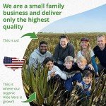 Seven Minerals Organic Aloe Vera Gel from freshly cut 100% Pure Aloe - Big 12oz - HighestQuality, Texas grown, Vegan, Unscented - For Face, Skin, Hair, Sunburn relief