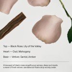 SALT & STONE Natural Deodorant - Black Rose & Oud | Extra Strength Natural Deodorant for Women & Men | Aluminum Free with Seaweed Extracts, Shea Butter & Probiotics | Free From Parabens & Sulfates