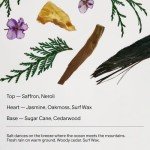 Salt & Stone Natural Deodorant for Women & Men - Saffron & Cedar | Extra Strength Natural Deodorant | Aluminum Free with Probiotics, Seaweed Extracts & Shea Butter (2.6 oz)