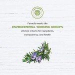 Avalon Organics Therapy Scalp Normalizing Shampoo, Tea Tree Mint, 14 Oz