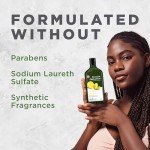 Avalon Organics Clarifying Lemon Shampoo, Removes Buildup to Restore Brightness and Shine, 11 Fluid Ounces