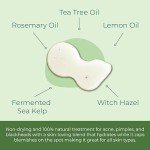 Sea El Kelp Blemish Stick Skincare Pimple Blackhead & Acne Spot Treatment Witch Hazel Rosemary & Tea Tree Oil Serum & Skin Toner for Women & Men, All Skin Types - .33 oz