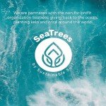 Sea El Kelp Blemish Stick Skincare Pimple Blackhead & Acne Spot Treatment Witch Hazel Rosemary & Tea Tree Oil Serum & Skin Toner for Women & Men, All Skin Types - .33 oz