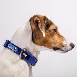 Ultrasonic Tick and Flea Repellent Collar - Blue