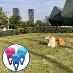 JOTOVO Portable Tick Remover Tool - 3 Pack