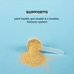 Vanilla Bone Broth Protein Powder for pets