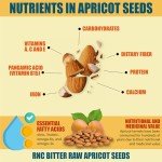 Fresh Raw Bitter Apricot Seeds - 8oz Bag