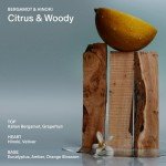 Salt & Stone Natural Deodorant for Women & Men - Bergamot & Hinoki | Extra Strength Natural Deodorant | Aluminum Free with Probiotics, Seaweed Extracts & Shea Butter (2.6 oz)