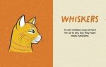 Understanding Your Cat: An Illustrated Guide
