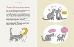 Understanding Your Cat: An Illustrated Guide