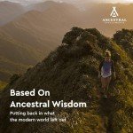 Grass-Fed Beef Spleen Supplement - 180 Capsules