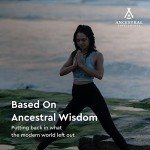 Grass-Fed Beef Bone Supplement for Health & Flexibility