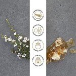 Manuka Doctor Nourishing Face Oil for Radiant Skin