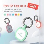 Pawaii Stainless Steel Dog Bowl with Non-Slip Rubber Base & Double Wall Insulation - Durable Design | Includes ID Tag | Dishwasher Safe Food & Water Bowl for All Dogs (34oz)