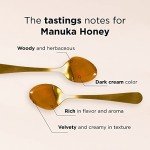 100% Pure MGO 1125+ Manuka Honey 8.75 oz