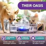 Automatic Glass Pet Fountain for Cats and Small Dogs