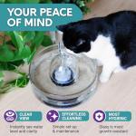 Automatic Glass Pet Fountain for Cats and Small Dogs