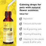 Bach RESCUE REMEDY PET Dropper 10mL, Natural Stress Relief, Calming for Dogs, Cats, & Other Pets, Homeopathic Flower Essence, Thunder, Fireworks, Travel, Separation, Sedative-Free