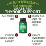 Grass Fed Beef Thyroid Capsules for Energy