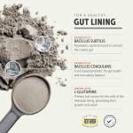 Four Leaf Rover Gut Guard - Dog Probiotics, Prebiotics, and Organic Herbs for Gut Health and Immune Support - Veterinarian Formulated - 30 Day Large Dog Supply