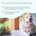 Ubiquinol Liquid Pump for Pets - 1.45 Fl Oz