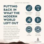 Ancestral Supplements Digestive Enzymes with Probiotics