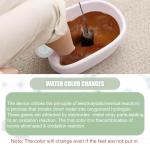 WL VnioLife Ionic Foot Bath Detox Machine with Bag, Portable Detox Foot Spa System, Ion Cleanse Detox Set for Home Beauty Salon Spa Use with Replacement Arrays, 100 Liners