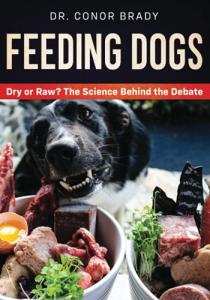 Dry vs. Raw Dog Food: What You Should Know