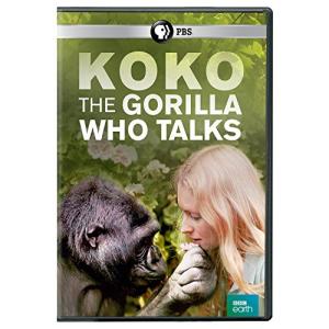Talking Gorilla Koko: A Remarkable Story