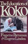 Koko's Journey in Holistic Health