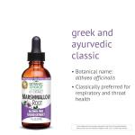 Alcohol-Free Marshmallow Root Extract for Pets 1 oz