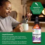 Alcohol-Free Marshmallow Root Extract for Pets 1 oz