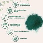 Organic Chlorella Powder for Complete Absorption