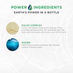 Beam Minerals Canine Electrolytes for Dogs - 12 Fl Oz