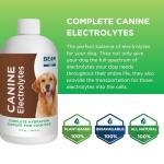 Beam Minerals Canine Electrolytes for Dogs - 12 Fl Oz