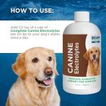 Beam Minerals Canine Electrolytes for Dogs - 12 Fl Oz