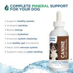 Beam Minerals Complete Multi-Minerals for Dogs