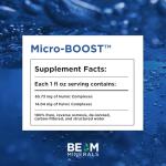 BEAM Minerals Micro-Boost | Essential Liquid Mineral Supplement