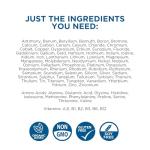 BEAM MINERALS Travel Pack | On-The-Go Electrolyte Support