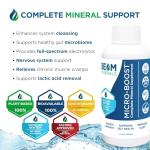 BEAM MINERALS Travel Pack | On-The-Go Electrolyte Support