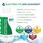 BEAM MINERALS Travel Pack | On-The-Go Electrolyte Support
